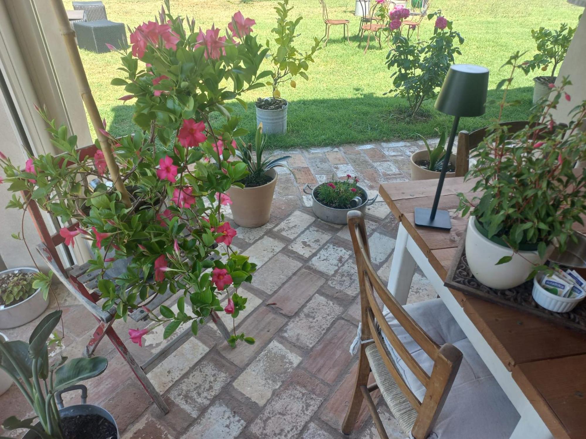 Beb Montefratta Bed & Breakfast Fratta Terme Exterior photo